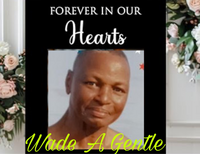 Wade  Gentle